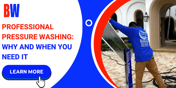 Professional Pressure Washing: Why and When You Need It
