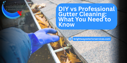 DIY vs. Professional Gutter Cleaning: What You Need to Know