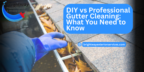 DIY vs. Professional Gutter Cleaning: What You Need to Know