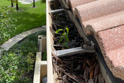 How Gutters Can Affect Your Home’s Foundation