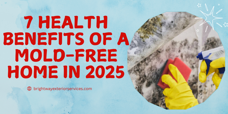 7 Health Benefits of a Mold-Free Home in 2025