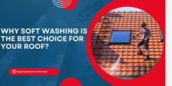 Why Soft Washing Is the Best Choice for Your Roof?