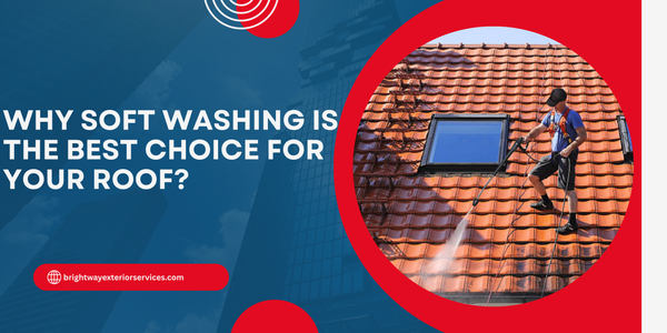 Why Soft Washing Is the Best Choice for Your Roof?