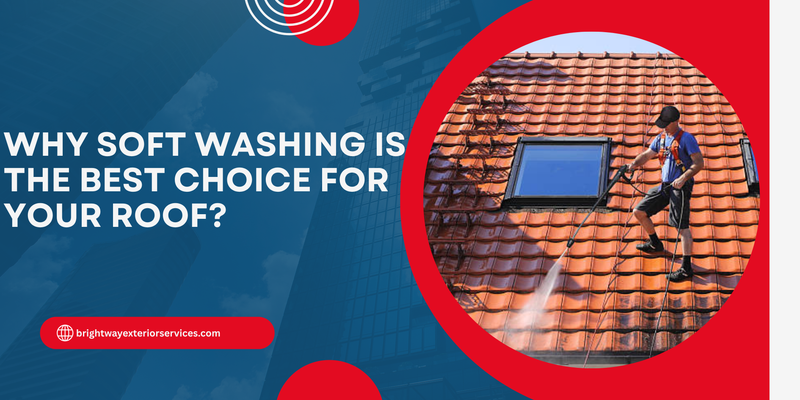 Why Soft Washing Is the Best Choice for Your Roof?
